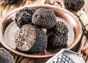 Four black summer truffles on a bronze plate besides the edge of a grater.