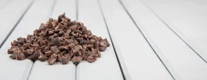 Raw Cacao vegan chocolate